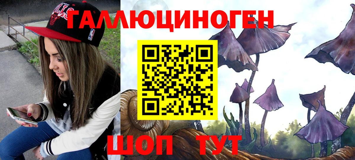 Славянск-на-Кубани  Псилоцибиновые грибы GOLDEN TEACHER  Вход с VPN 