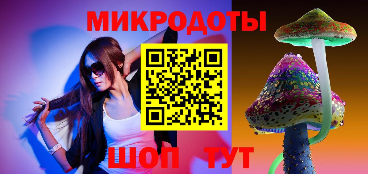 Галлюциногенные грибы Psilocybe Славянск-на-Кубани